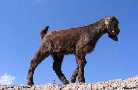 Ancak o zaman bu enerjiyi olumlu şekilde kullanmanız mümkün olur. Nehrin tersine yüzmek yerine, akışa ayak uydurmak size farklı bir dünyanın veya kişisel gelişimin kapılarını açabilir.  Kalıplaşmış düşünceye ve illa benim düzenim demeye kalkışırsanız, bu düzenle ilgili yaşanabilecek değişimlerde fazlasıyla zorlanabilirsiniz. Çünkü yapınızın temeli yenilenmektedir. Eskiyen düzenin yerine yenisinin gelebilmesi için gelişimlerin sizin için ne anlam ifade ettiğini ve buna göre neler yapılması gerektiğini iyi gözlemlemeniz lazım. Bu 7 yıllık bir süreçtir. Sırasıyla Uranüs burcunuzla görünüm oluşturdukça (yani doğum haritanızda Güneşin konumuna 90 derece mesafe yaptığında) eviniz ve aile yaşamınızda değişimler kendisini hissettirmeye başlar. Bu bazen oldukça stresli gelişmelere neden olsa da, gayet canlı ve hareketli bir değişimin işaretidir. Sizi yenilenmeye teşvik eder.
