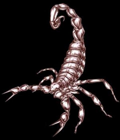 4 Nisan-5 Ağustos tarihleri arasında Balık burcunda ilerleyecek Neptün yöneticisi bir burçta seyrini sürdüreceği için tabii ki olumlu bir yansıma olarak gözüküyor. Ancak süresi oldukça kısa. Bizler bu enerjinin gücünü ancak 2012 sonrası daha iyi idrak edebileceğiz. Neptün bu süreçte aşk evinizde seyrini sürdürecek. Gerek devam eden aşk ilişkiniz ve gerekse hayatınıza yeni dahil olacak kişi anlamında bu enerjiyi ele alsak da olumlu gözüküyor. Tek sorun bu kısa müddet içinde hemen acele kararlar vermemeniz. Hele bir ilişki kökleşsin, sabırlı olmakta fayda var. Bu enerji sadece aşk anlamında değil, çocuk konusunda da etkili. Birçok Akrep belki de ilk kez bir evlat sahibi olmayı isteyecekler. Ancak süre oldukça az. Onun için iyi düşünmekte fayda var.