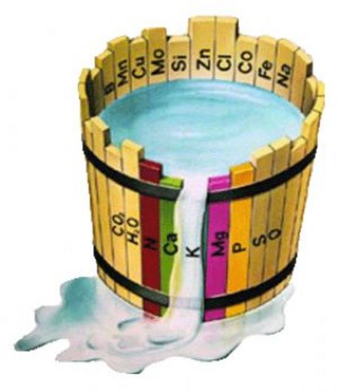 Siz olumsuz düşünmeye ve yaşamın gerçekleriyle yüzleşmemeye devam edecek olursanız, Pluto bu süreçte kimi aylarda sizi oldukça zorlayabilir ve siz bu içsel baskı sonucu bu dersi öğrenmek zorunda kalabilirsiniz. Sizler bu dönem içinde geriye çekilmek, inzivada yaşamak ve insanlarla fazla temas halinde olmak yerine kendi içinize yönelebilirsiniz.