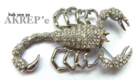 4 Nisan-5 Ağustos tarihleri arasında Balık burcunda ilerleyecek Neptün yöneticisi bir burçta seyrini sürdüreceği için tabii ki olumlu bir yansıma olarak gözüküyor. Ancak süresi oldukça kısa. Bizler bu enerjinin gücünü ancak 2012 sonrası daha iyi idrak edebileceğiz. Neptün bu süreçte aşk evinizde seyrini sürdürecek. Gerek devam eden aşk ilişkiniz ve gerekse hayatınıza yeni dahil olacak kişi anlamında bu enerjiyi ele alsak da olumlu gözüküyor. Tek sorun bu kısa müddet içinde hemen acele kararlar vermemeniz. Hele bir ilişki kökleşsin, sabırlı olmakta fayda var. Bu enerji sadece aşk anlamında değil, çocuk konusunda da etkili. Birçok Akrep belki de ilk kez bir evlat sahibi olmayı isteyecekler. Ancak süre oldukça az. Onun için iyi düşünmekte fayda var. Sanatsal konularda  da bu enerji olumlu. Bu süreçte kendinizi ve yeteneklerinizi değerlendirme anlamında şans yakalayabilirsiniz. Mistik konular ilginizi çekebilir, duygularınızı yazıya dökebilirsiniz ayrıca tasarım çalışmalarında bulunabilirsiniz. Sevdiklerinize bağımlılığınız artabilir. Romantik paylaşımlar bu dönemde oldukça zevklidir. Ağustos-Kasım dönemindeki geri harekette ev ve aileniz, iç dünyanızla alakalı konularda lütfen incelemelerde bulununuz.