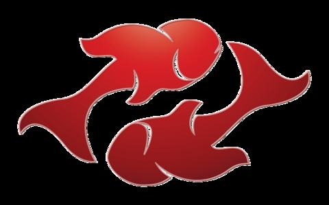 Pluto gezegeninin bu süreçte burcunuzla olan olumlu enerjisi sayesinde karşınıza çıkacak fırsatlar belki de şimdiye dek görmediğiniz kadar yüksek olabilir. Fakat bu fırsatlardan yararlanmak için herşeyden önce bilgi sahibi olmanız, kendinizi tanıtmanız ve sosyal aktivitelere katılmanız gerekecektir. Organizasyonlar, grup faaliyetleri, sizin aynı amacı paylaşan insanlarla bir araya gelmeye çalışmak, sadece dar bir alanda sıkışmak yerine daha geniş bir çerçeve içinde bulunmak adına istekli olmak bu güçlü enerjinin olumlu anlamda kullanılması adına kesinlikle şarttır. Benim size tavsiyem yeni bir bakış açısıyla hayata katılmaya gönüllü olmanız ve hiç kimse uğruna hedeflerinizden vazgeçmemeniz, iyi niyetinizi hiç kimsenin suistimal etmesine izin vermemenizdir. Artık güçlü olmak ve kendinizi düşünmek zamanınız gelmiş durumda. Önünüzde 16 yıllık bir gelişim süreci bulunuyor. Ne kadar uzun gibi gözükse de zaman gayet çabuk akıp gitmekte. Bunun bilincinde olarak şimdiden kollarınızı sıvamanız iyi olacaktır.  - 2011 yılının beklentilerinizin ötesinde pozitif bir yıl olmasını diliyorum. Her şey umduğunuzdan çok daha güzel olsun. İyi ki varsınız.