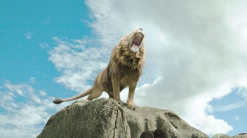 4 Nisan-5 Ağustos tarihleri arasında kısa bir süre Balık burcunda ilerlemesini sürdürecek Neptünün asıl önemli etkisini 2012 sonrası daha iyi idrak etmeye başlayacağız.  Aslında bu dört aylık seyir 17 yıl boyunca bizlerle olacak bu enerjinin ilk yansımalarını işaret ediyor. Yaşam, ölüm, bilinmeyen esrarlı konuların  ilginizi çekeceği bu dönemde para ve madde konusunda çok dikkatli olmak lazım. Çünkü para beklemediğiniz bir zamanda geldiği gibi, aynı şekilde elinizden uçup gidebilir. O nedenle kimlerle para ilişkiniz varsa dikkatli olmakta fayda var. Evliliğin cinsel yönü, bu etki altında kimi zaman gerçek dışı fanteziler yaşatabilir. Özellikle eşiniz mali kazancı sizin için çoğu zaman bir kurtarıcı gibi gelebilir. Sezgilerinizin gücü son derece yüksektir. Yaşanabilecek olayları önceden hissedebilirsiniz. Para konularında kime ne verdiğinizi ve kimden ne aldığınızı çok iyi yapınız. Neptün yanılsıma gezegenidir. Kişi bu etki altında herşeyi kendi bakış açısıyla değerlendirmekten yanadır. İlişki ve maddi konularda bazı insanlar hayal kırıklığı yaşatabilir. Çıkarlarınız konusunda akıllıca hareket etmek en doğrusudur. Boyunuzu aşan borçlar altına girmeden önce çok iyi düşünmek gerekir. Neptün Ağustos-Kasım arasında Kova burcuna gerileyecek. Bu durum partner seçiminizde romantizm duygunuzu  arttırsa da, sizin bilinçli bir seçimde bulunmanız gerekir. Ruhsal ve fiziksel yönden aşırı duyarlılık içinde olan kişi aşık olduğunu sanabilir veya tam tersine partneriniz size aşık olduğunu sanabilir. Bu devrede durumunuzu gözden geçirmenizi tavsiye ediyorum.