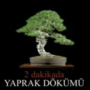 Beş yıl süren dizi iki dakikada nasıl özetlenir