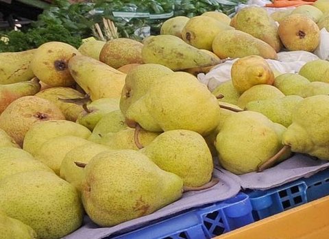 Epic Systems - Proje müdürü/"Bir elma 20 sent, bir portakal 40 sent ve bir greyfurt 60 sent ise bir armut ne kadardır?"