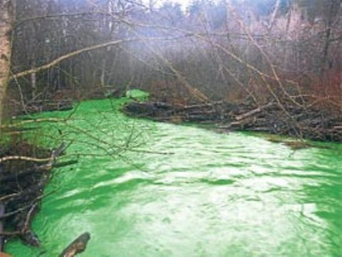 Kanada'da Goldstream Parkı'nda bulunan ırmak, fosforlu yeşil olarak aktı. Yaklaşık bir saatlik bir akımın ardından doğa eski düzenine kavuştu ve nehrin rengi maviye döndü. Bölgede yaşayan somon balıklarının, kartalların ve ayıların doğal yaşam kaynağı olan nehirin neden renk değiştirdiğine dair bir açıklama yapılmadı. Beklenmedik bir anda renk değiştiren nehirde yaşayan balık ve nehirden beslenen hayvanların sağlık durumlarında olumsuz bir duruma rastlanmadığı açıklandı. Yetkililer, nehre boya maddesi döküldüğü ihtimali üzerinde duruyor.