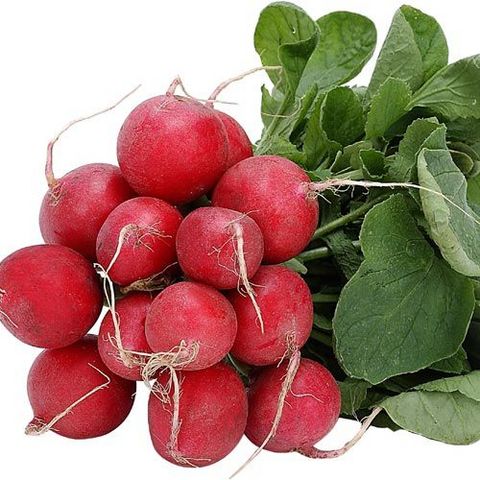 KIRMIZI TURP: Akciğer kanseri riskini azaltır, meme kanserinden korur. Bol miktarda turp salatası tüketin.