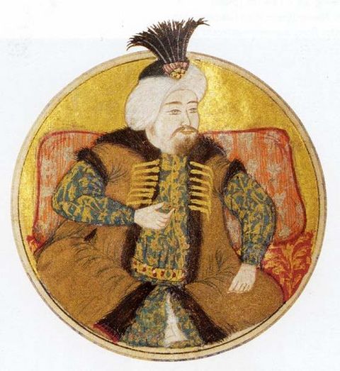 2. Mustafa'nın 9 eşi olduğu, bunlardan Ali-cenab'ın Baş Haseki olduğu biliniyor. Şâh-Süvar (Şehsuvar) Vâlide Sultan ise 4. Haseki'ydi ve oğlu III. Osman tahta geçtiğinde Valide Sultan olmuştu. - Saliha Sebkâti Vâlide Sultan da saraydaki cariyelerdendi ve I. Mahmut'un annesiydi. - 2. Mustafa'nın diğer eşleri Hüma Şah Haseki, Afife Haseki, Hatice Haseki, Hafsa Sultan (Üçüncü Haseki olduğu söyleniyorsa da Kadın Efendi olması kuvvetle muhtemeldir), Hanife Hâtûn ve Fatma Şahin Hâtûn'dur.