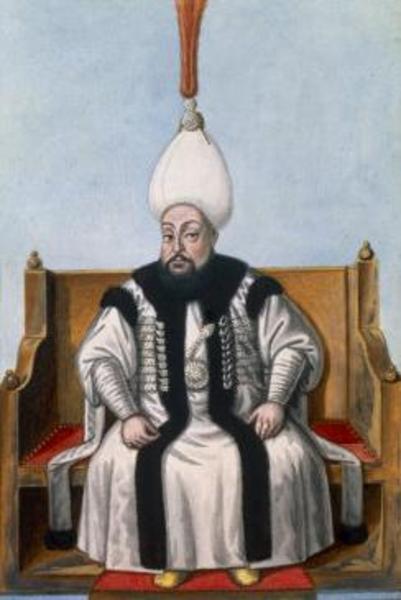 3. Mustafa'nın eşlerinde Avn'ül-Hayat, Baş Kadın Efendi'ydi. Yine bir Başkadın Efendi olan Mihr-î-Şah Valide Sultan da, III. Selim'in annesiydi ve Valide Sultan olarak haremde güç kazanmıştı. - 3. Mustafa'nın diğer eşleri de Rif'at 	Kadın Efendi, Hatice Sultan'ın annesi olan Ayşe Adil-Şah Kadın Efendi, Fehmi Kadın Efendi ve Binnaz Kadın Efendi'ydi.