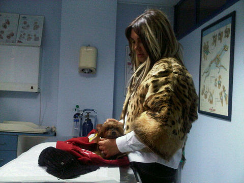 Seren Serengil gittiği her restoranda köpekleri için porselen tabaklarda servis yaptırıyor.