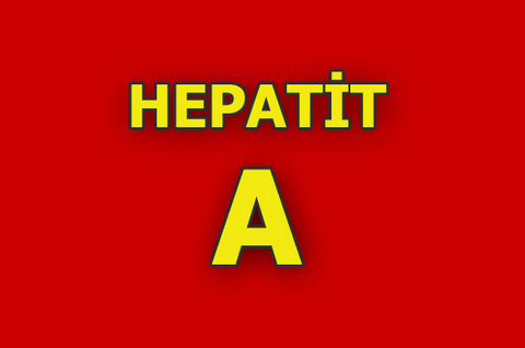 A tipi Hepatit genellikle çocukluk çağında, fekal ve oral yoldan bulaşıyor. Kişiden kişiye direkt bulaşabileceği gibi, besinler ve su yoluyla da geçebiliyor. Hepatit A, uzun süreli enfeksiyon, siroz ya da karaciğer kanserine yol açmıyor. Hepatitler içinde enmasumolanı gibi görünse de nadiren "fulminan hepatit" olarak adlandırılan karaciğer yetmezliği tablosuna girebilen Hepatit A'nın aşısı bulunuyor.