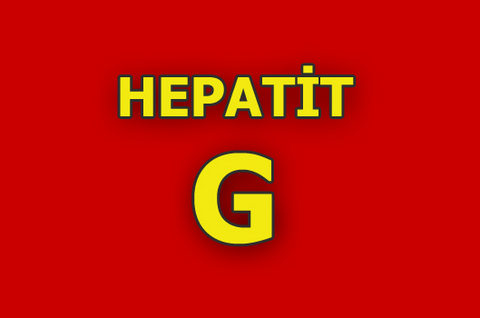 Yeni bulunmuş bir viral Hepatit virüsü olan Hepatit G, özellikle uyuşturucu kullananlar ile diyaliz ve hemofili hastalığı olan kişilerde görülüyor ve kronik Hepatit'e yol açıp açmadığı konusundaki çalışmalar devam ediyor. Yapılan araştırmalar karaciğerde ciddi bir probleme yol açmadığını gösteriyor. Hepatit G; B, C ve D virüsleri ile geçiyor.