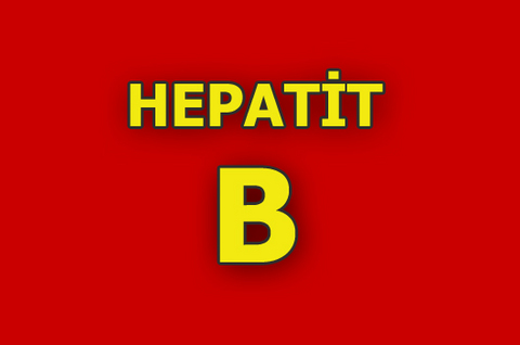 Dünyada yaklaşık 400 milyon kişide bulunduğu bilinen ve yılda bir milyondan fazla kişinin ölümüne neden olan kronik Hepatit B, en yaygın enfeksiyonlardan biri olarak kabul ediliyor. Türkiye'de yüzde 2-7 olduğu belirtilen Hepatit B en çok doğum yoluyla anneden bebeğe bulaşıyor ve bazen yıllarca belirti vermeyebiliyor. Hastalığın konuyla ilgilenen bir enfeksiyon hastalıkları uzmanı veya gastroenterolog tarafından yakın takibe alınması, hangi dönemde olduğunun belirlenmesi ve gerekli görülürse karaciğer biyopsisi yapılıp tedaviye başlanması gerekiyor. Hastanın tedavisini aksatmaması çok önemli bulunuyor. Günümüzde Pegile interferon adı verilen ve haftada bir kez kullanılan enjeksiyon uygulamasından her gün ağızdan alınan tabletlere kadar uzayan tedavi seçenekleri bulunuyor. Türkiye'de 1998 yılından beri bebeklere doğar doğmaz Hepatit B aşısı yapılıyor.
