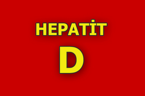 Hepatit D virüsü çoğalabilmek için Hepatit B virüsüne ihtiyaç duyuyor. Bu nedenle bir kişide Hepatit D hastalığı gelişebilmesi için o kişinin aynı zamanda Hepatit B hastası veya taşıyıcısı olması gerekiyor. Bu yüzden Hepatit B için aşı yaptıranlar aynı zamanda Hepatit D'den de korunmuş oluyorlar. Ayrıca bu hastalık, Hepatit B'nin ilerleyişini hızlandırarak gelişimini kötü yönde etkiliyor ve riski 2 - 3 kat artırarak siroza gidişi hızlandırıyor. Hastalığın bulaşması kan ve kan ürünleri yoluyla oluyor. Ayrıca anneden bebeğe geçiş de görülebiliyor. Hepatit D hastalığımüzmin Hepatit B veya Hepatit B taşıyıcısı olanların sadece yüzde 5'inde gelişiyor.