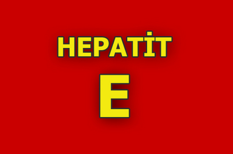 Hepatit E virüsünün ana bulaşma yolu dışkıyla karışmış suların içilmesi ve enfekte gıda tüketimi olarak görülüyor. Kronikleşmeyen Hepatit E enfeksiyonları genellikle genç ve orta yaşta geçirilirken, çocuk ve yaşlılarda az rastlanıyor. Hepatit E virüsü taşıyan hastaların yemek pişirmemesi, başkalarına kendi hazırladıkları yemeklerden sunmamaları gerekiyor. Şüpheli suların en az 3 dakika kaynatılması, yemeklerin ve etlerin çok iyi pişirilmesi, temiz olmayan sularda yetişen kabuklu deniz ürünlerinin yenmemesi gerekiyor.