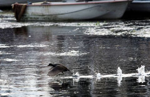 Burada Azmak Nehri'ni görmeniz gerekiyor