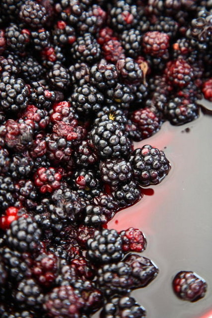 Her gün yenen bir avuç böğürtlen kanserden korur. Yapılan araştırmalar böğürtlenin, bünyesinde barındırdığı antioksidanların bağışıklık sistemini güçlendirerek kanser türlerine karşı koruyucu etkisi olduğunu ortaya çıkarmıştır. -