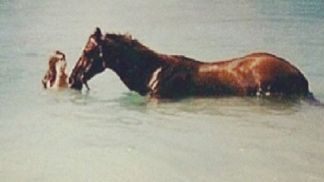 Kendini Kızıldeniz'in sularına bırakıp güneşlenmekle kalmayan, atla yüzerek tatiline biraz da adrenalin katan tasarımcı, bu fotoğrafını dün Instagram'da paylaştı.