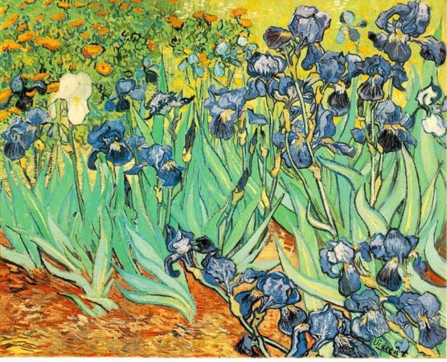 Irises - Vincent van Gogh'un Portrait of Dr. Gachet tablosu gibi önrünün son günlerinde tamamladığı tablonun değeri 97.5 milyon dolar.