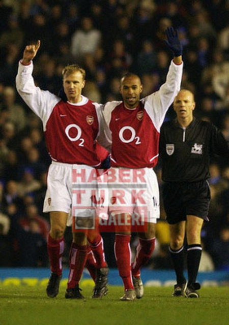 Bergkamp - Henry