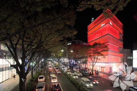 Christian Dior Tokyo Mağazası 