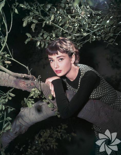 Mel Ferrer ile yaptığı sorunlu evlilik tüm dünya tarafından yakından takip edildi.