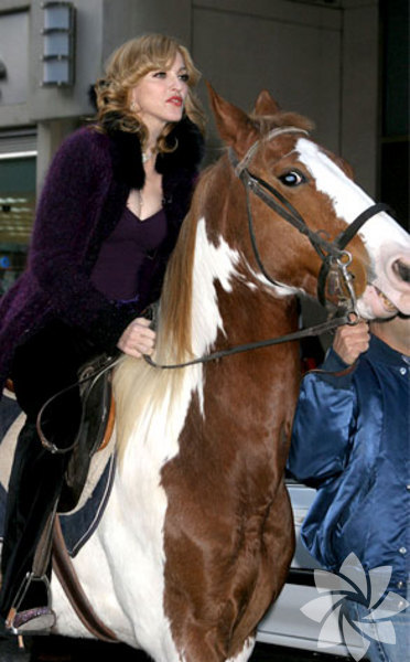 Sporda Madonna'nın maymun iştahını örnek alın.
