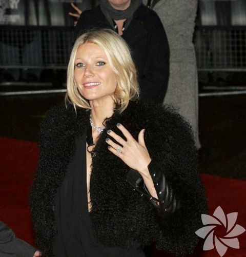 Sonbaharın hüznü gri - Gwyneth Paltrow 