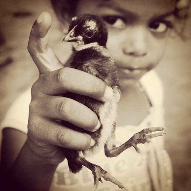 Mehmet Turgut:  - Sıkı bir iphoneographer sayılmaz.