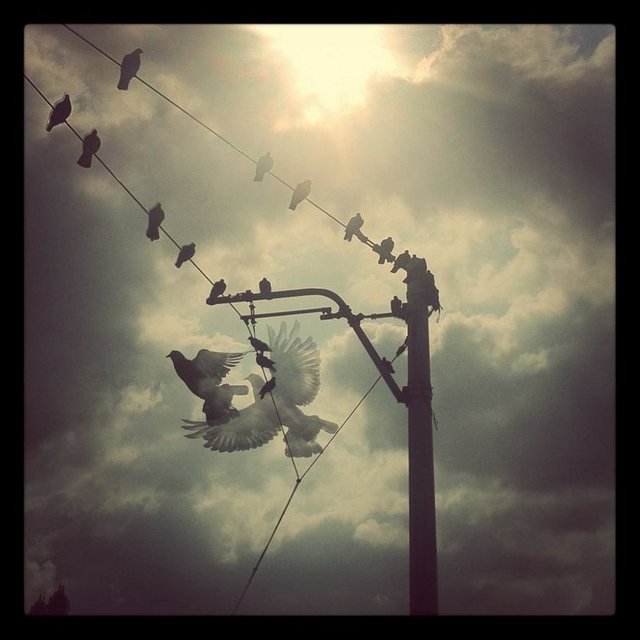 Barış Çakmak:  - Zerda, Hanım'ın Çiftliği ve şu sıralar TRT'de yayınlanan Mavi Kelebekler dizisinde ve Irak Savaşı'nı anlatan Myth adlı tiyatro oyununda rol alan genç aktör, sıkı Instagram kullanıcılarından. Setteyken bile fotoğraf çekiyor, sonra da onlara özel isimler veriyor.