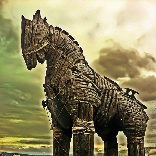 İlke Hatipoğlu: - Redd grubundan İlke Hatipoğlu da sürekli fotoğraf çekip yükleyenlerden. En çok eski İstanbul semtlerini ve kedileri çekiyor.