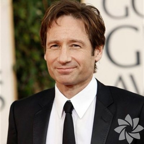 David Duchovny - Komedi dalında en iyi erkek tv dizi oyuncusu adayı