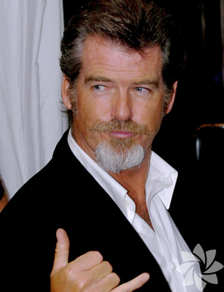 Pierce Brosnan