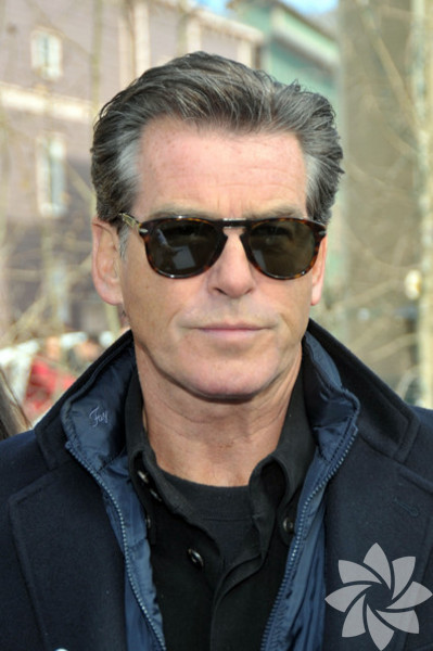 Pierce Brosnan
