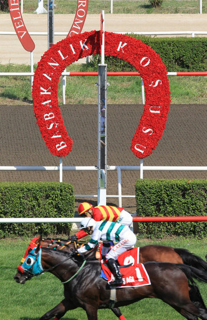 24 Temmuz: At yarışlarında, 60. Başbakanlık Kupası Koşusu'nu, jokey Yalçın Akağaç ile ''Derviş Ağa'' isimli safkan kazandı.