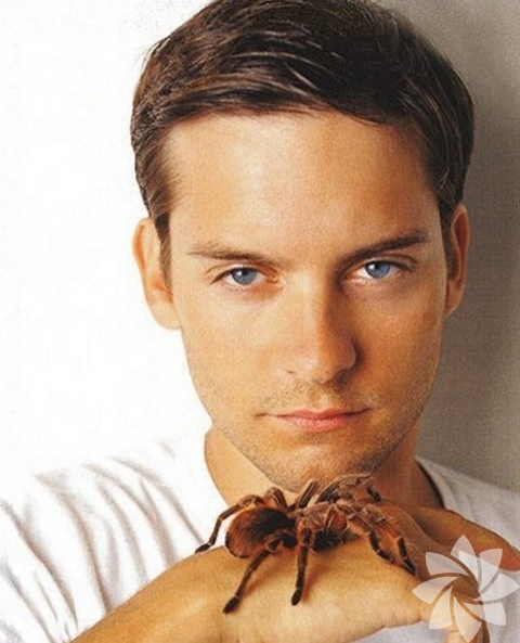 Tobey Maguire