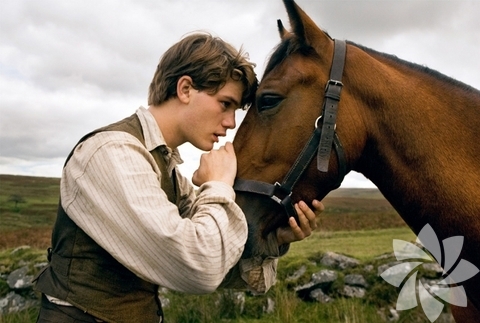 War Horse - En iyi film adayı