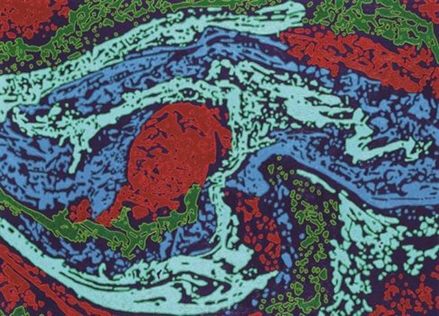 ** Galeri Artist Çukurcuma'da; 8 Şubat'a kadar Cenk Akaltun / "Suda Yaratılışlar" sergisi. Tel: (212 251 91 63) - ** Doruk Sanat Galerisi'nde; 4 Şubat'a kadar Nesrin Sağlam Resim Sergisi. Tel: (212 252 05 35)