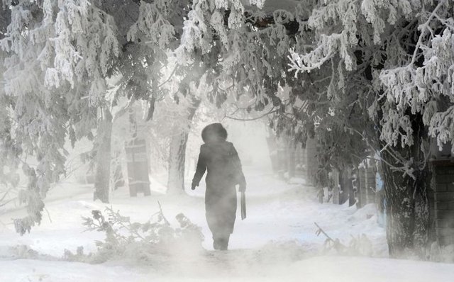 KAZAKİSTAN: -45 DERECE, MAYMUNLARA ŞARAP İÇİRİLİYOR