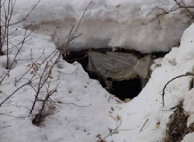 SIĞINAĞIN ETRAFINDAKİ BARINAKLAR