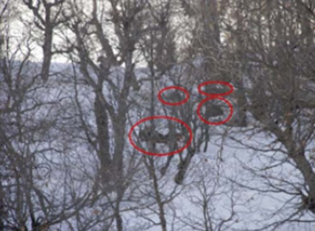 SIĞINAĞIN BULUNDUĞU VE 1'İNCİ ÇATIŞMANIN YAŞANDIĞI BÖLGE