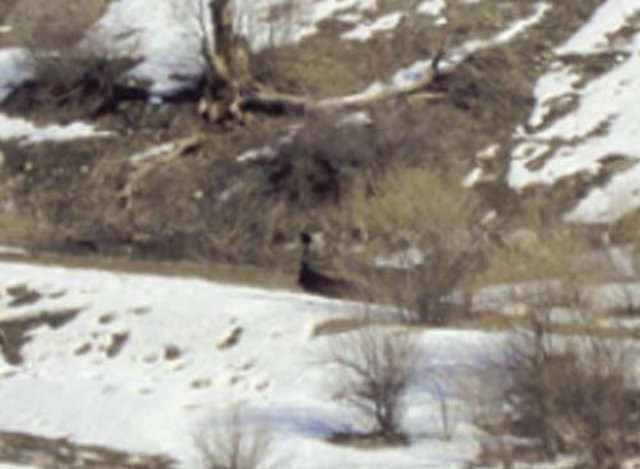 ERÖRİSTLER TARAFINDAN KULLANILAN OPERASYON BÖLGESİNDEKİ KATIRLAR