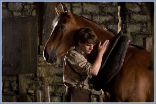 Bu atlardan 8'i Joey'nin tay olduğu dönemi canlandırdı. Yönetmen Spielberg, ailesinin de çok sayıda atı olduğunu belirterek, ''Bu filmde atların ne kadar etkileyici olduklarını ve duygularını nasıl gösterebildiklerini anladım. Bu da beni çok etkiledi'' yorumunu yaptı.