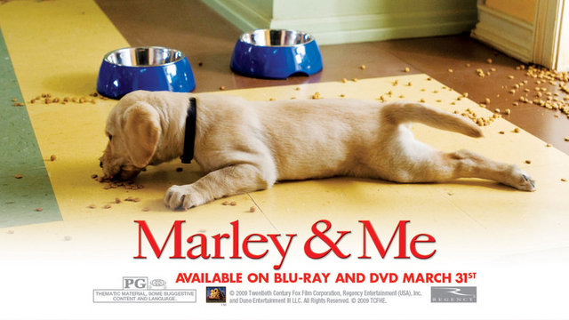 Eğlenceli bir atmosferde geçen, ancak sonunda seyirciyi ağlatan filmde de Marley rolündeki köpek yeteneğiyle ilgi çekti.