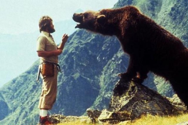 Yönetmenliğini Jean-Jacques Annaud'nun üstlendiği Fransa-ABD ortak yapımı film, annesini kaybeden ve kendi başına hayatta kalmaya çalışan yavru ayının, iki avcının zulmüne karşı yetişkin bir ayıyla kader birliği yapmasını işliyordu.