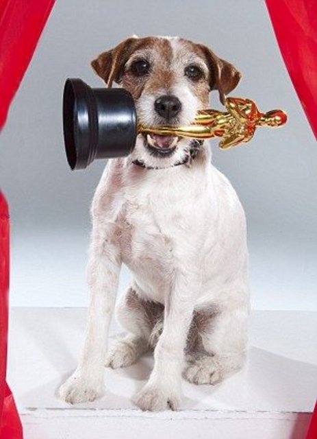 26. Oscar Ödülleri gecesinde Uggie'nin yer almayacağını belirten yetkililer, böylece köpeğin gecenin ana sunucusu Billy Crystal ile bir skeçte yer alacağı yönündeki haberin doğru olmadığını da duyurmuş oldu.