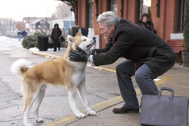 Japonya'daki metro istasyonunda bir heykeli de bulunan Hachiko rolünü başarıyla canlandıran köpekler, filmde dikkatleri üzerinde topladı. -