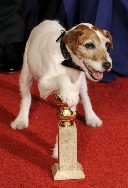 Köpek Uggie'nin rol aldığı son filmin ''The Artist'' olacağı ve ''emekliye ayrılacağı'' belirtiliyor.
