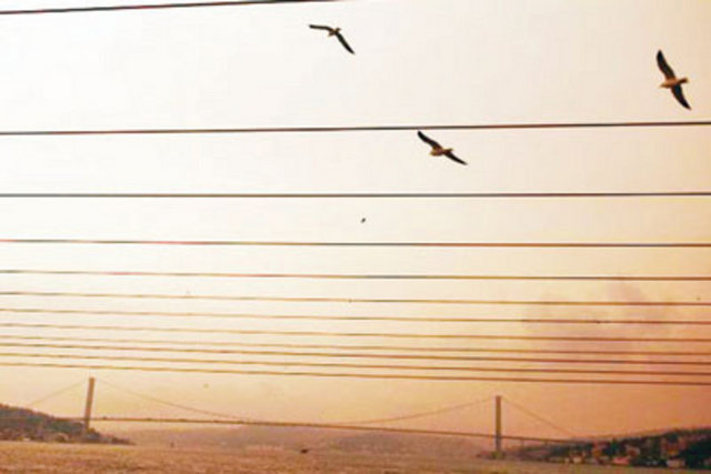 Sine Elita - @enimenis - İletişim öğrencisi/Amatör Yazar – iPad2