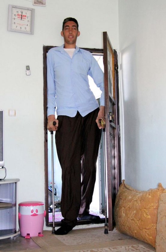 Самый высокий человек в мире за всю историю человечества рост и фото живой