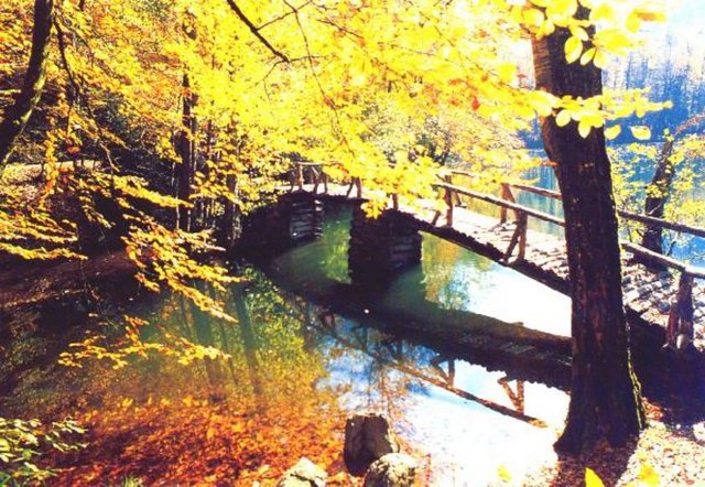 Bolu'nun ''gözbebeği'' olarak nitelendirilen dünyaca ünlü Abant, her hafta binlerce tatilcinin akınına uğrarken, temiz havada rengarenk açan çiçekler ve yeşilin binbir tonunu keşfedenler ata ve faytona binerek, göl kenarında mangal yapıp, balık tutmanın keşfini çıkarıyor.